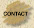 contact button