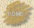 home button